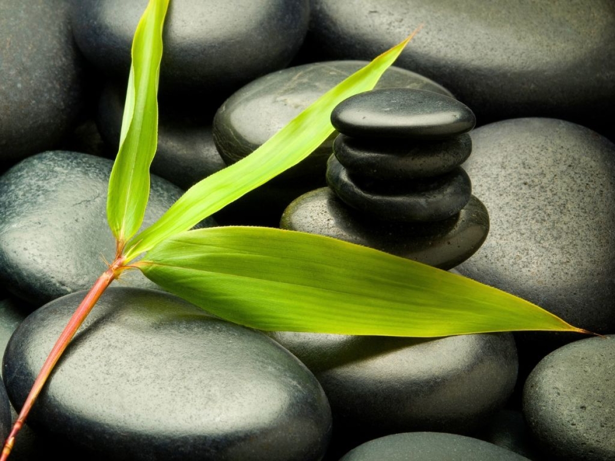 Feng Shui TIPS